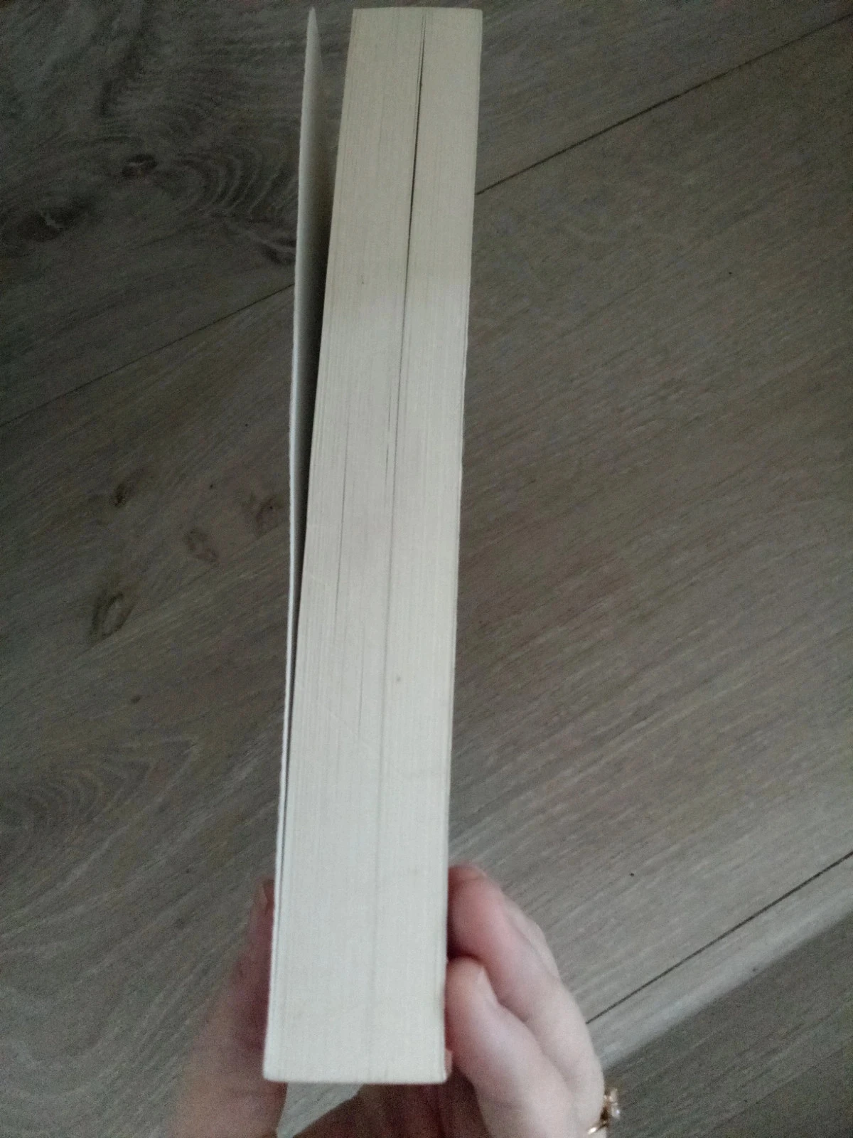 A feitiçaria de A a Z René Louis – photo 4